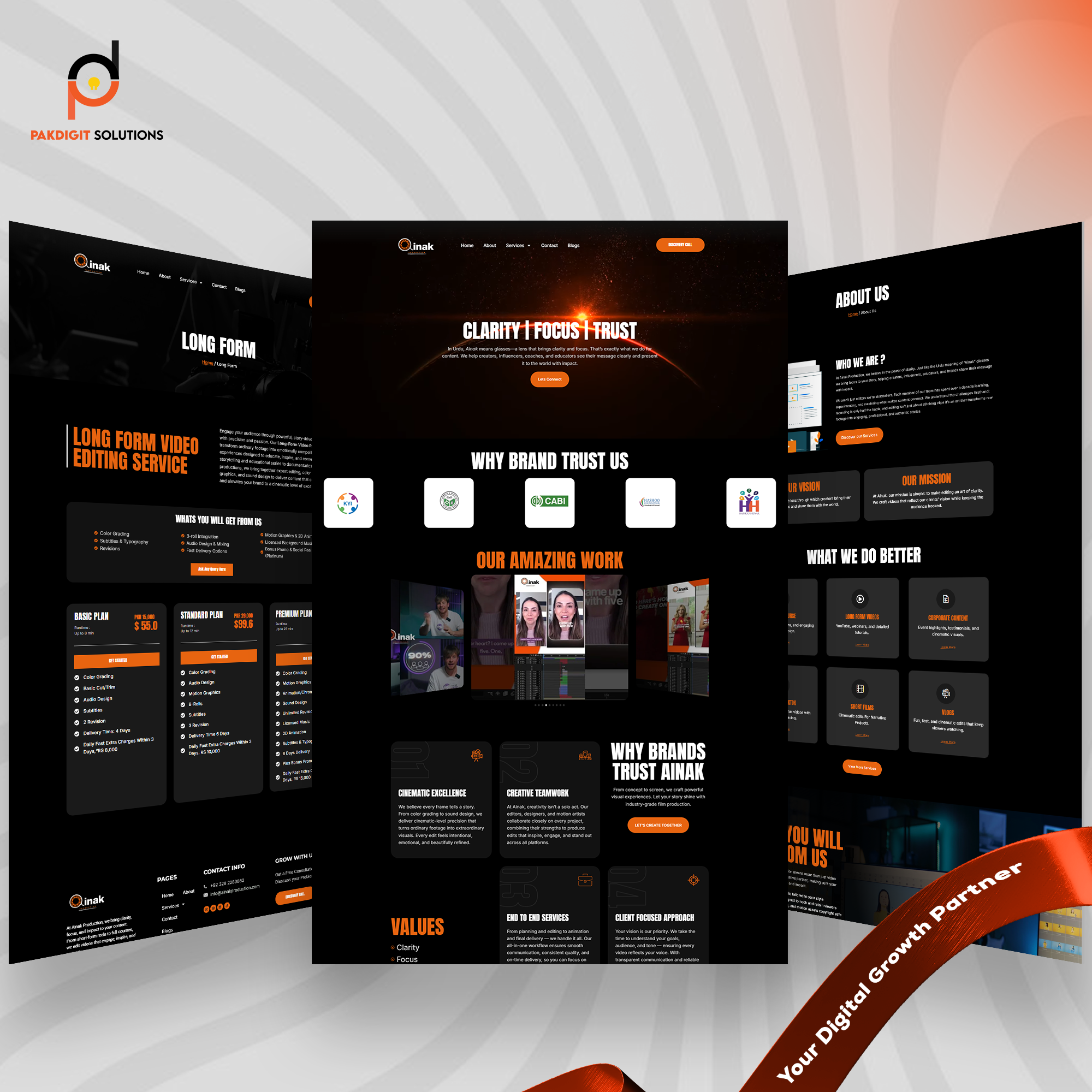 Pakdigit website design for Ainak Production